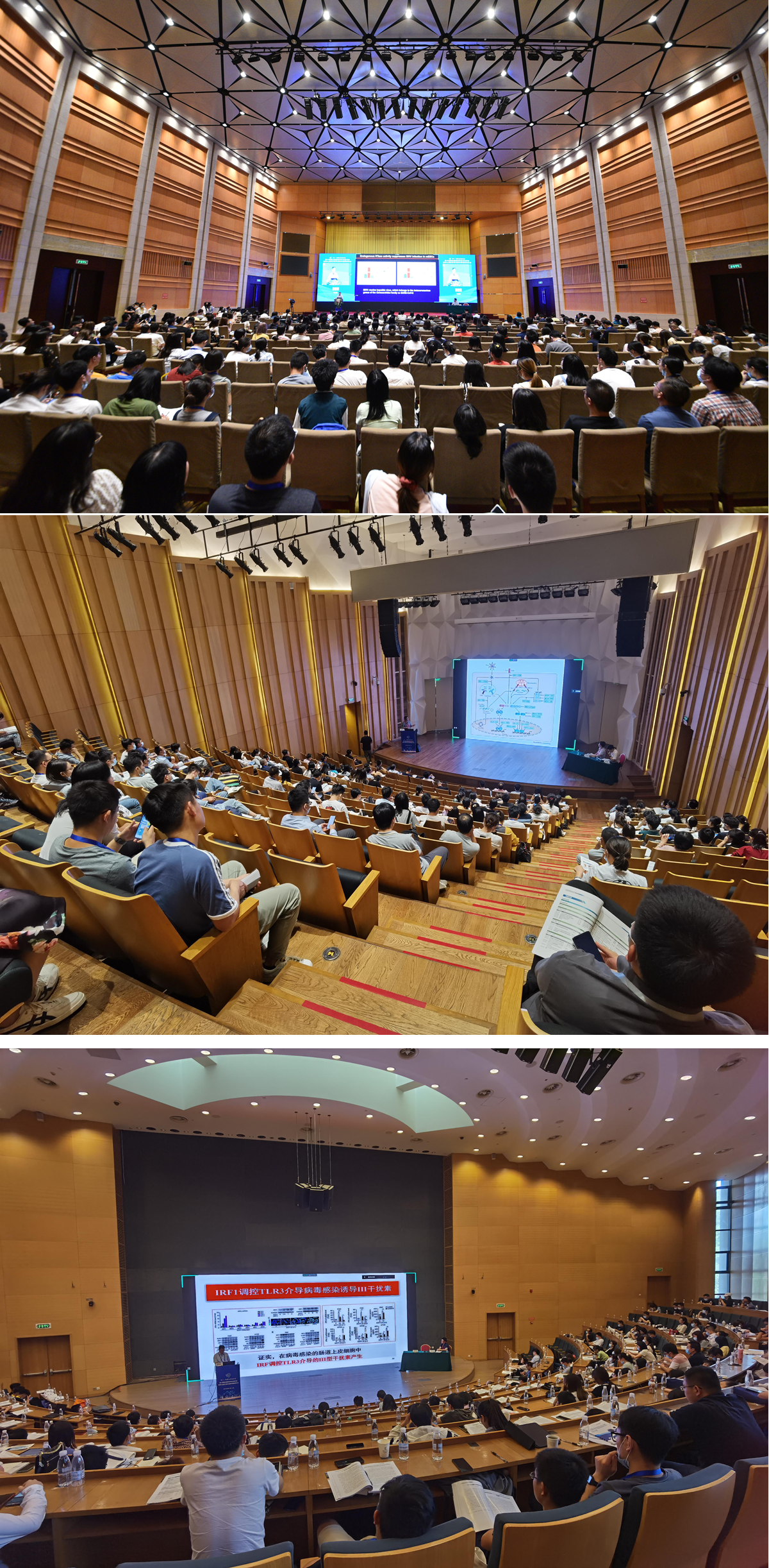 1634050539272735.png 图片444.png