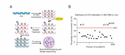 图示, 示意图描述已自动生成