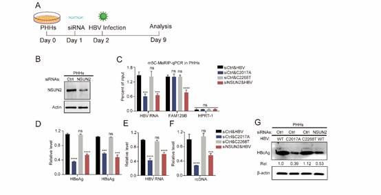 图示描述已自动生成