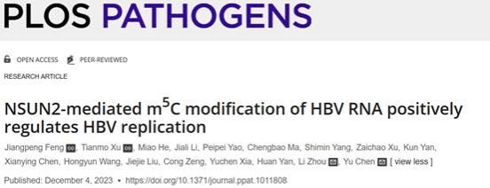 图形用户界面, 文本, 应用程序, 电子邮件描述已自动生成