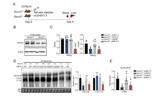 图示描述已自动生成